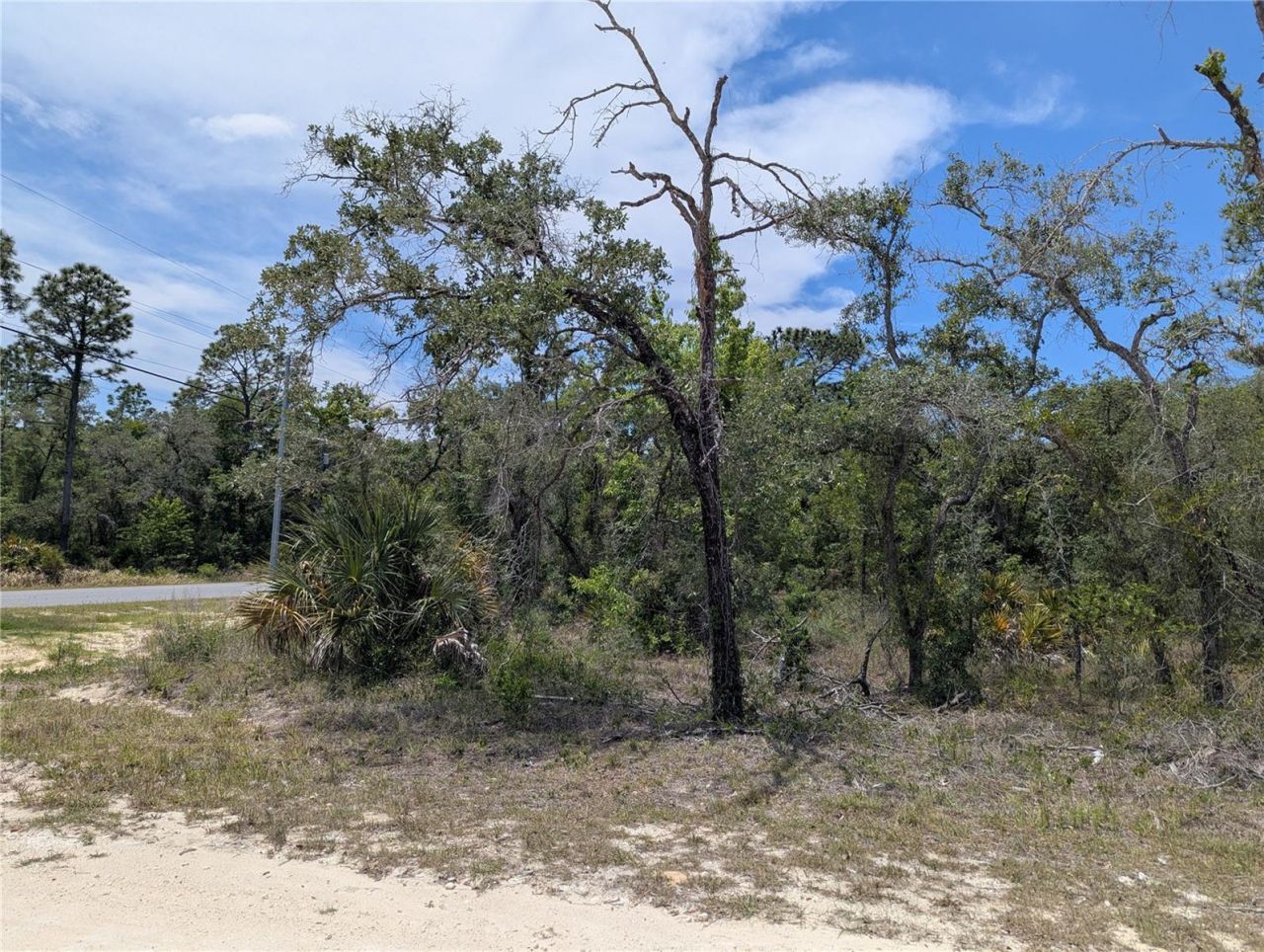 Goldfinch Road , Weeki Wachee, FL 34614 Photo
