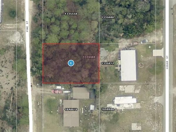 14-17-28-0200-009-01400 Pine ST , PAISLEY, FL 32767