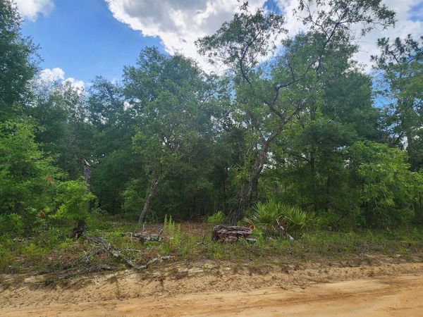 Marion Street, Interlachen, FL 32148