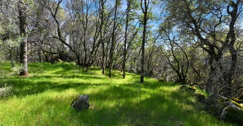 20229 Troost Trl, North San Juan, CA 95960 Photo