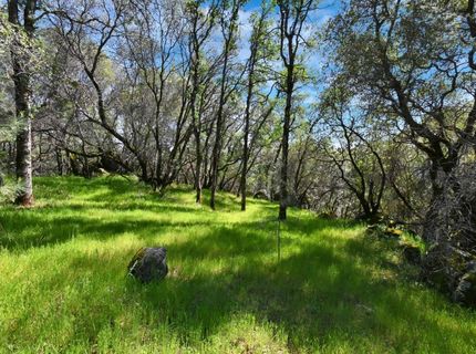 20229 Troost Trl, North San Juan, CA 95960 Photo