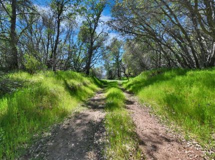 20229 Troost Trl, North San Juan, CA 95960 Photo
