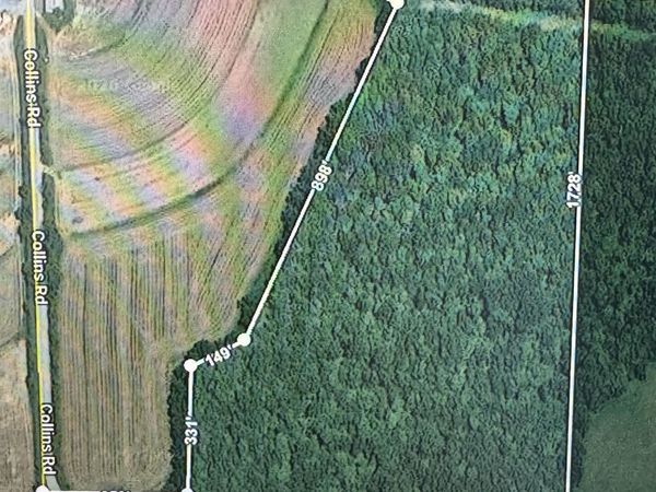 27.64 Acres, Collins Road, Mount Hope, WI 53816