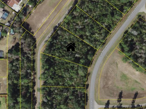 36TH AVENUE ROAD , OCALA, FL 34473