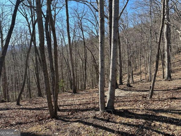 LOT 55 Asheland Cove, Young Harris, GA 30582