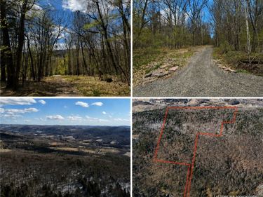 0 Patent Line Road, Sidney, NY 13838