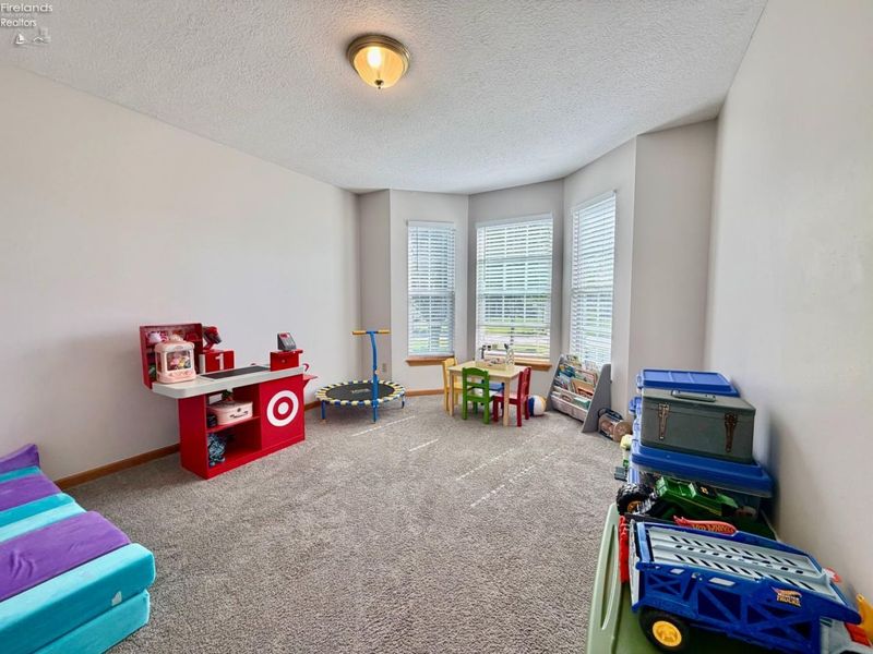 530 Parkside Reserve Street, Wellington, OH 44090 Photo 15
