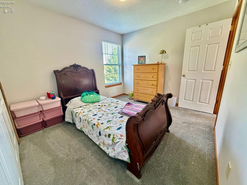 530 Parkside Reserve Street, Wellington, OH 44090 Photo 21