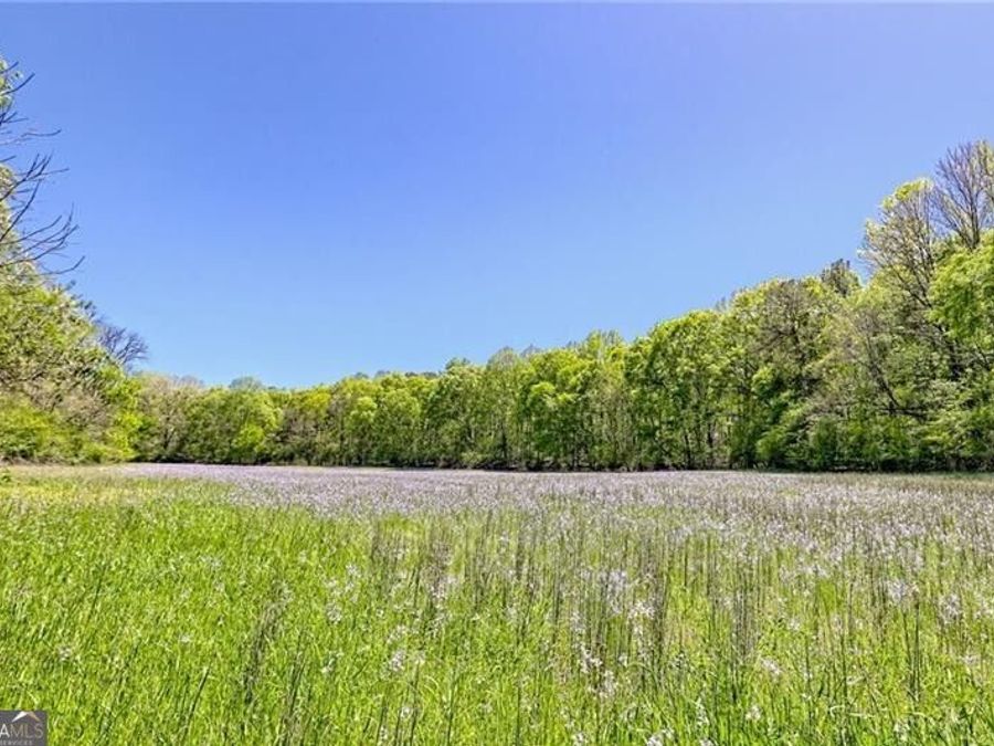 Property Image 134
