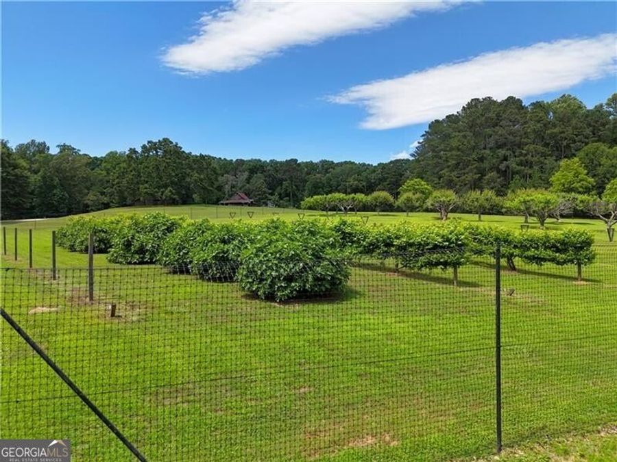 Property Image 149