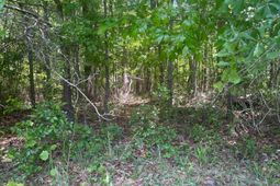 2206 Hwy 1 S photo 4