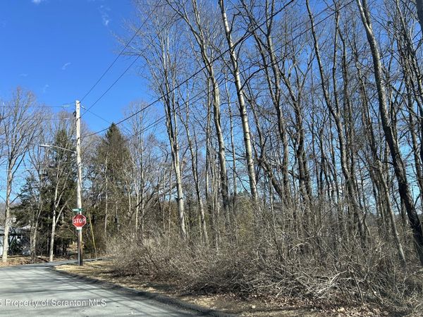 Virginia Avenue , Blakely, PA 18452