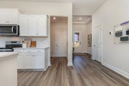 205 Blueberry Fields Ct. photo 4