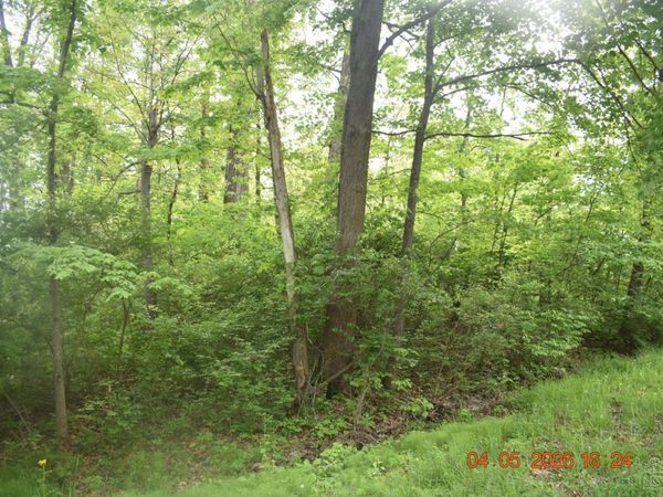 0 Schiltz, Unit 210, Fayetteville, OH 45118