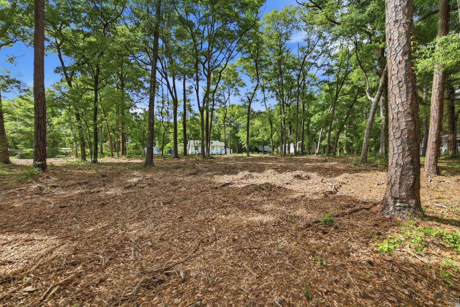 1424 Jacks Circle Rd. Photo 10