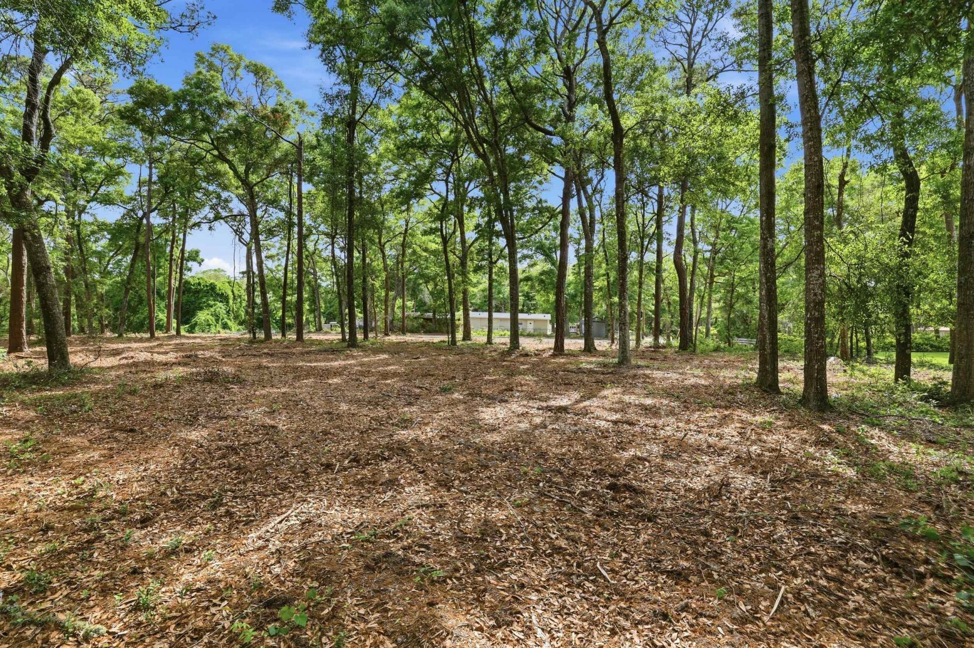 1424 Jacks Circle Rd. Photo 9