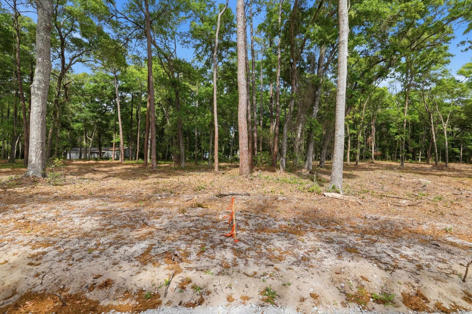 1420 Jacks Circle Rd. Photo 4