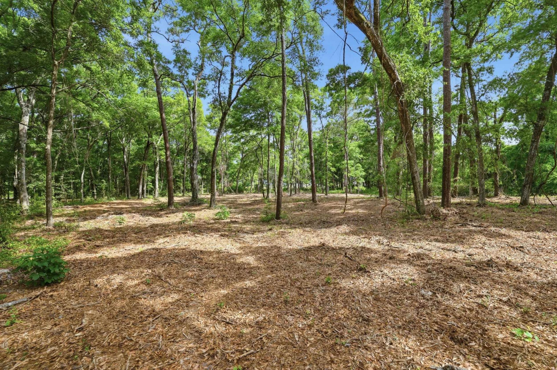 1420 Jacks Circle Rd. Photo 5