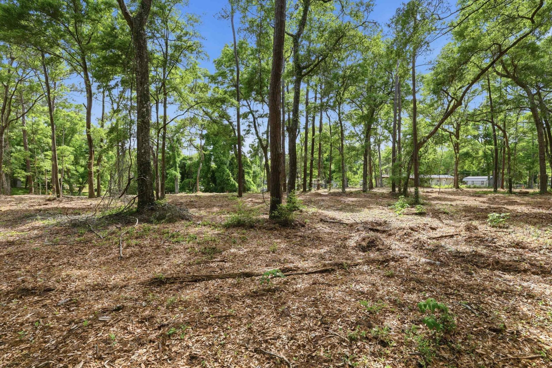 1420 Jacks Circle Rd. Photo 6