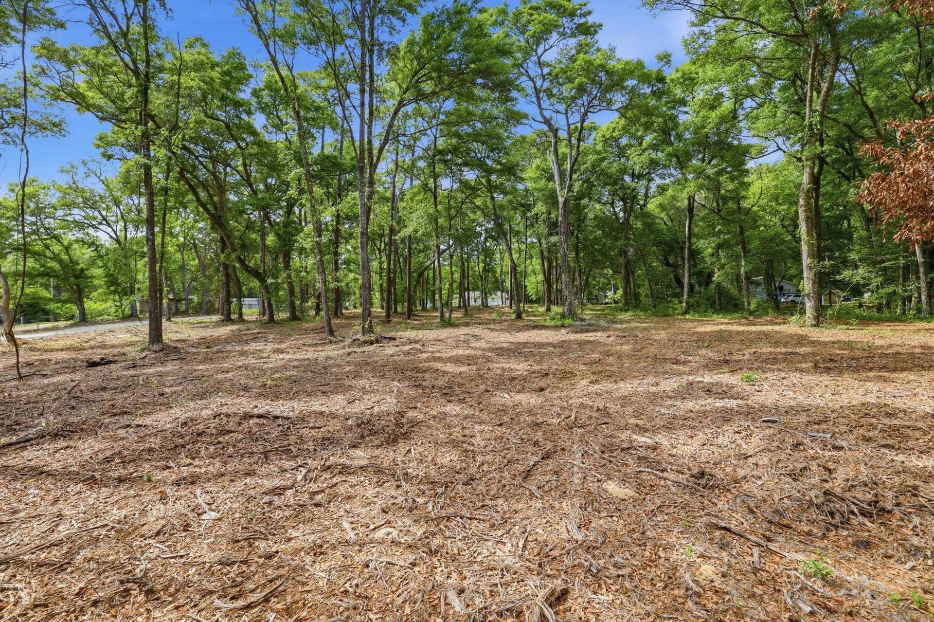 1420 Jacks Circle Rd. Photo 7