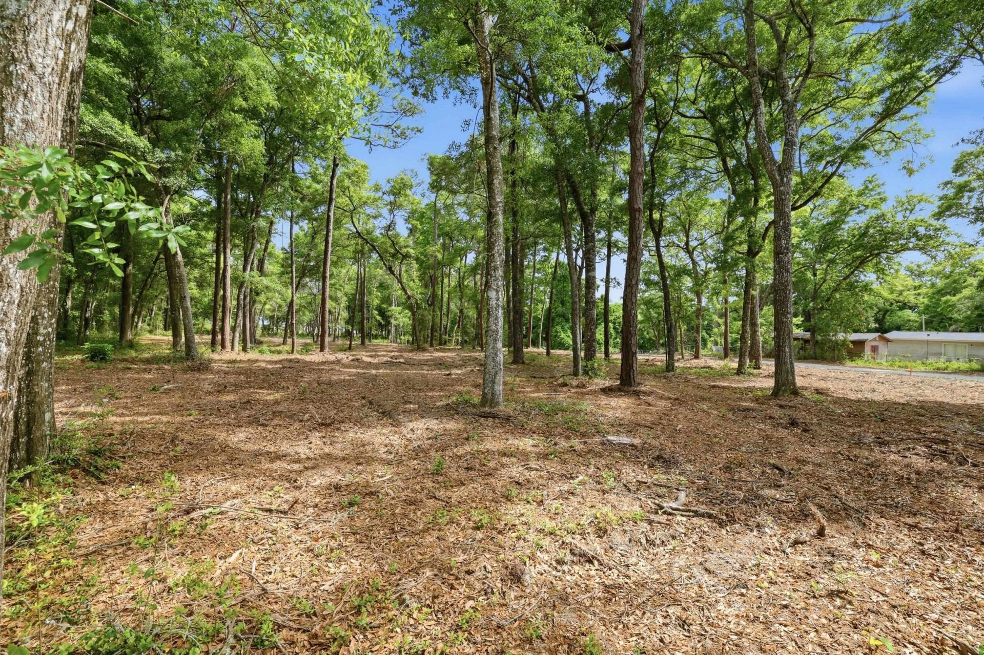 1424 Jacks Circle Rd. Photo 6
