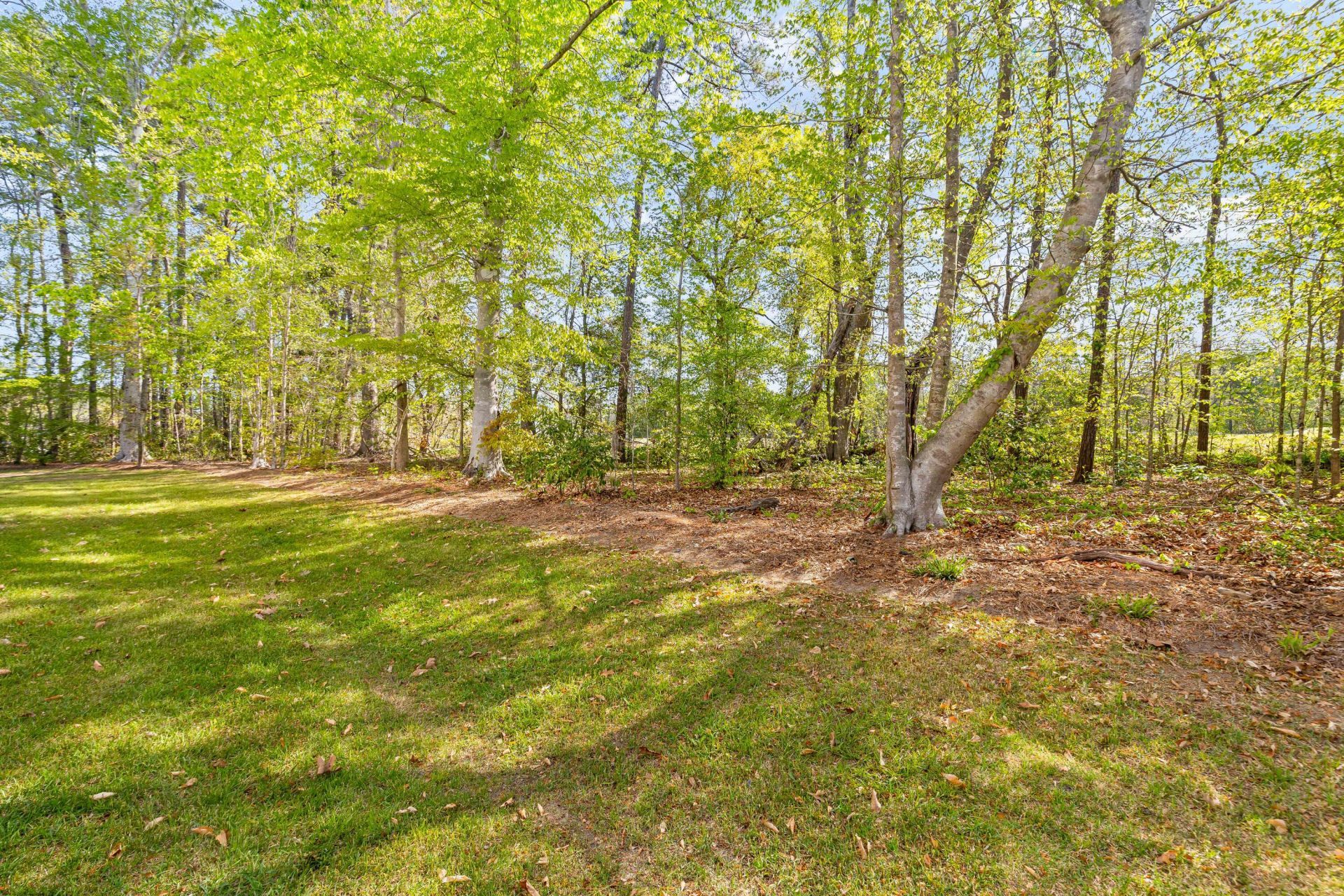 5206 New Palm Court Photo 36
