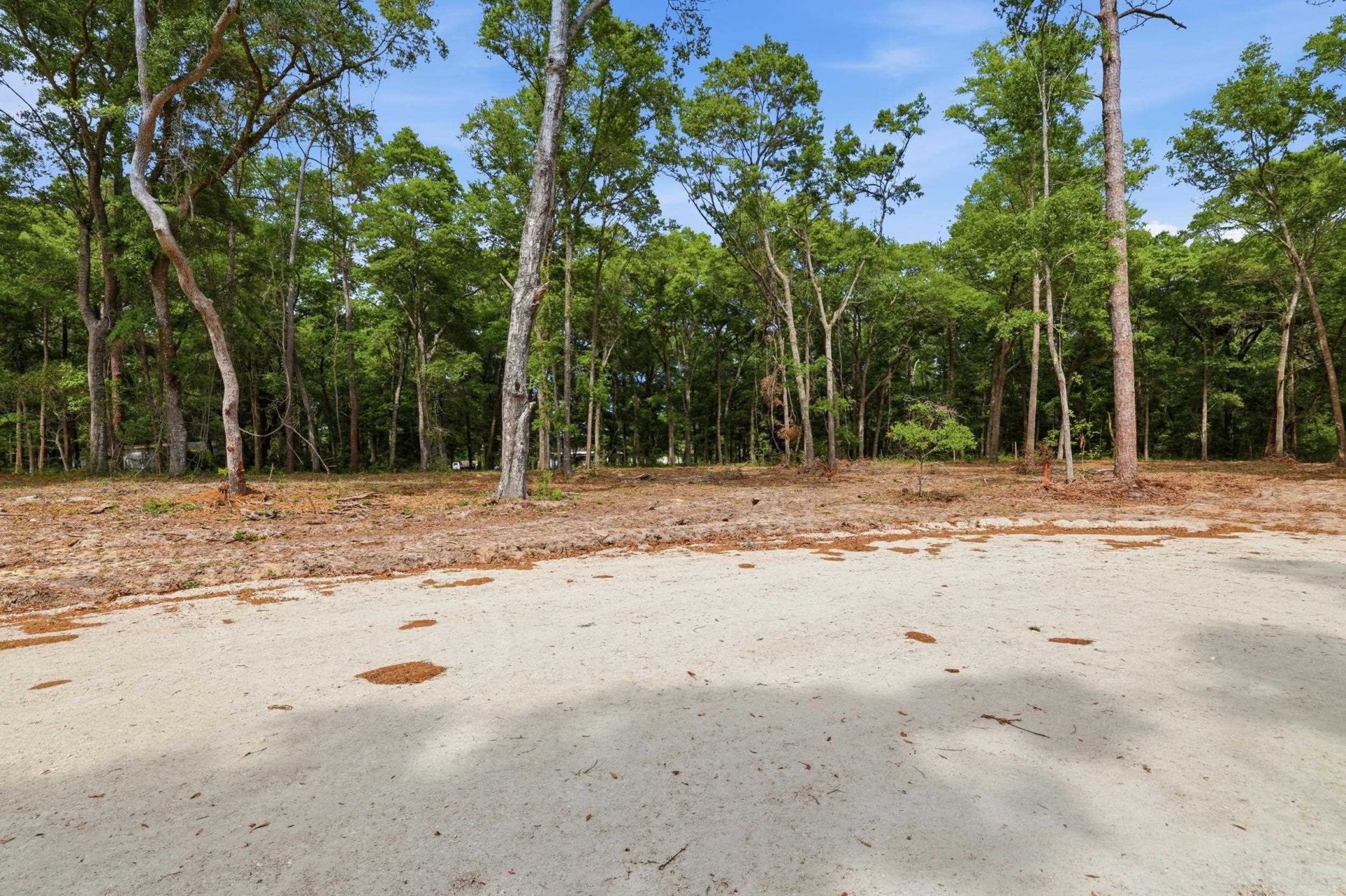 1420 Jacks Circle Rd. Photo 5