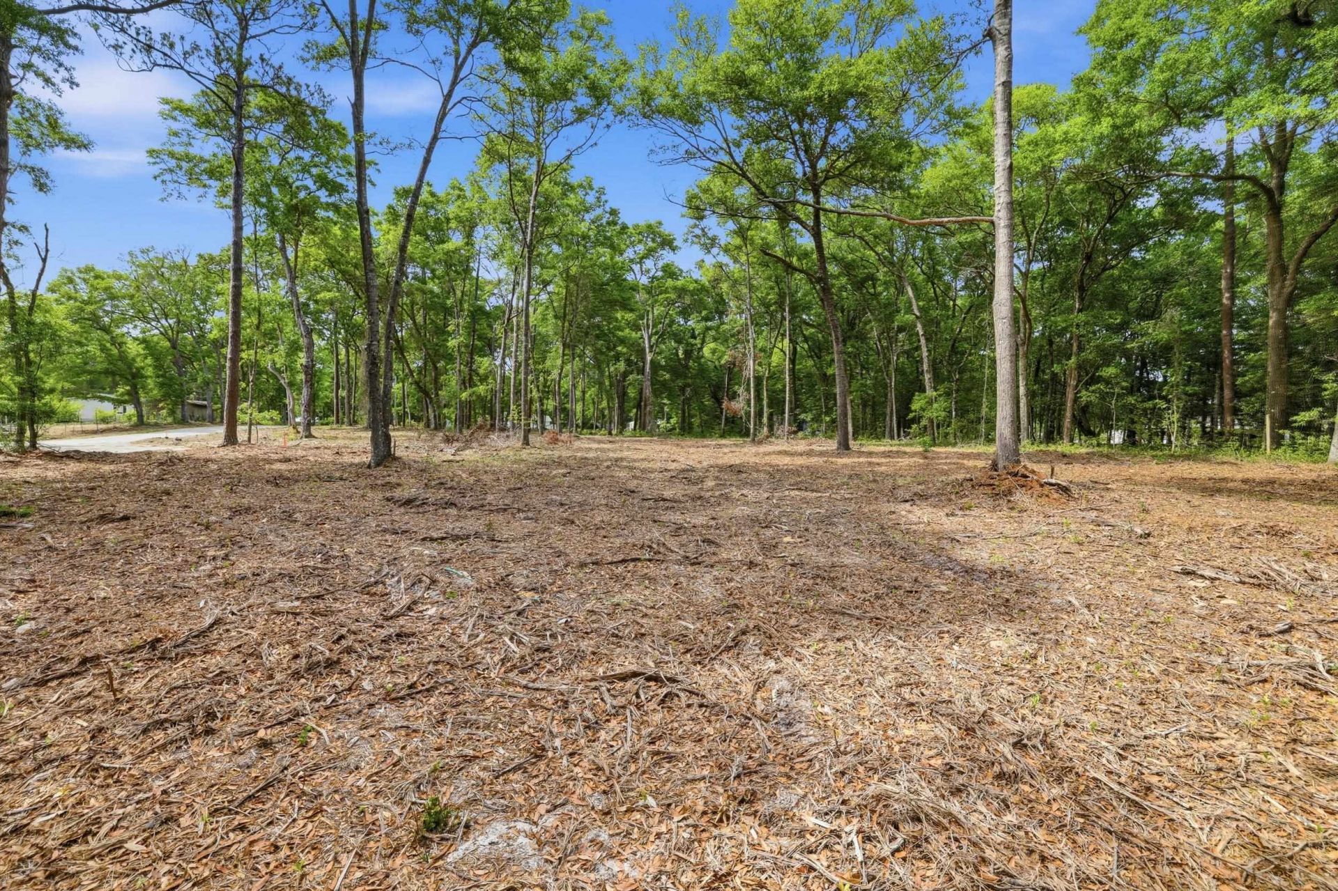 1420 Jacks Circle Rd. Photo 7