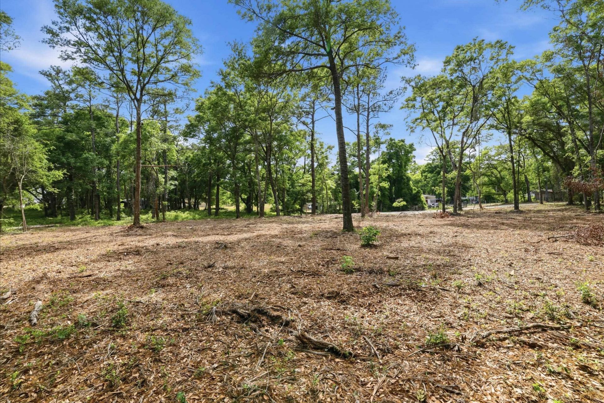 1420 Jacks Circle Rd. Photo 8