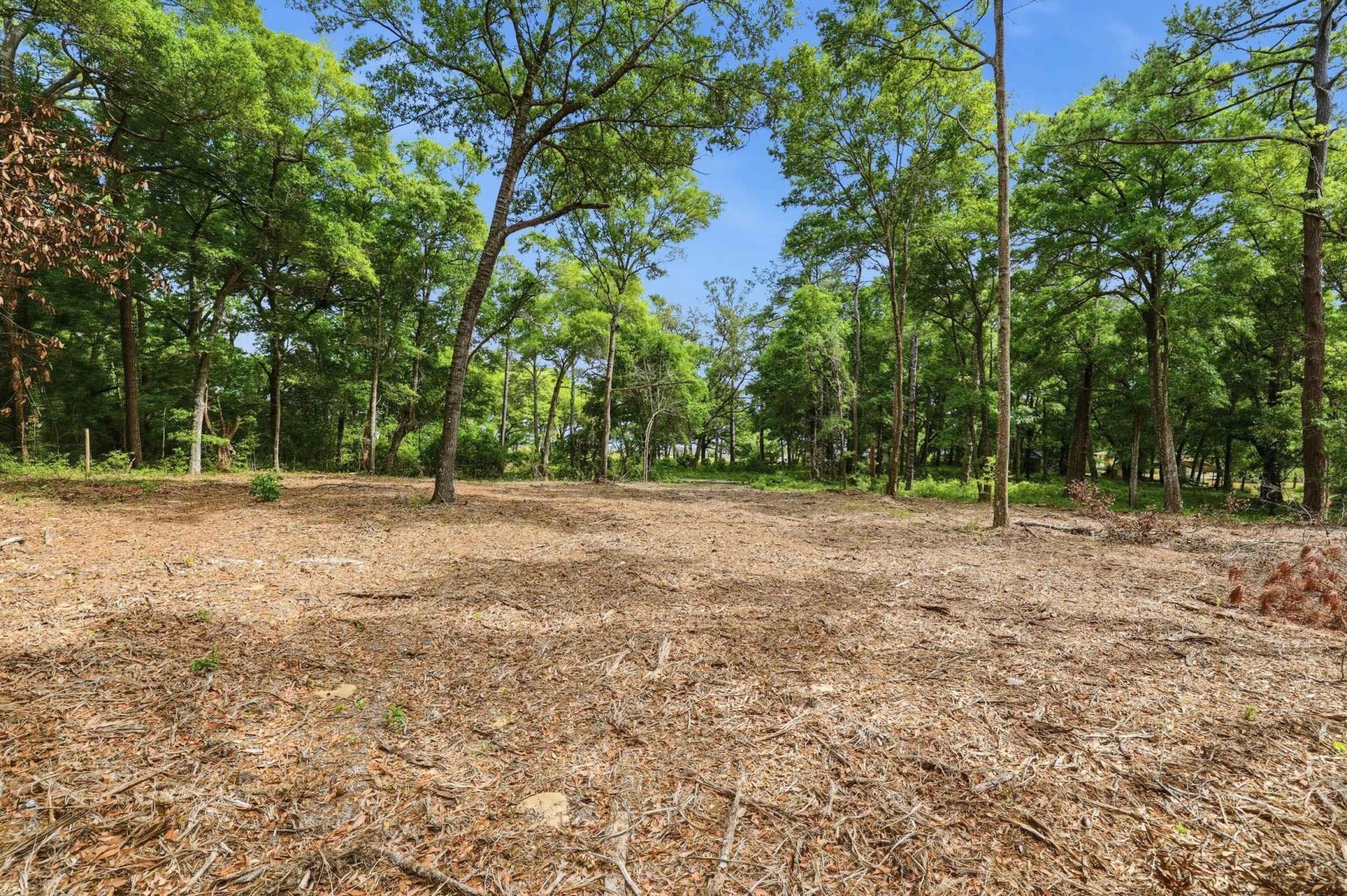 1416 Jacks Circle Rd. Photo 7