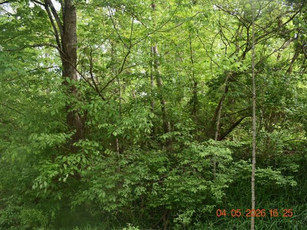 0 Schlitz, Unit 211, Fayetteville, OH 45118