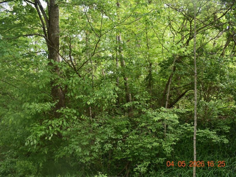 0 Schlitz Drive, Unit 211, Perry Twp, OH 45118 Photo 1