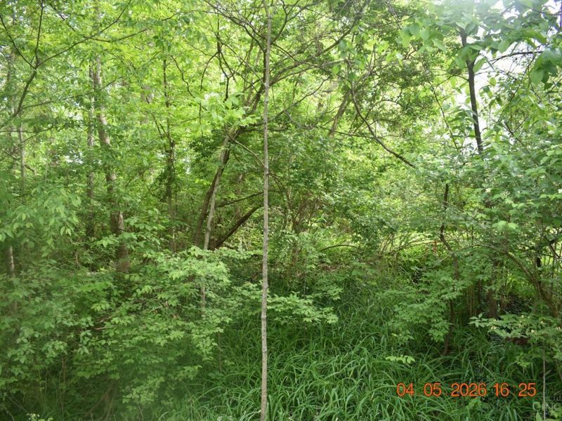 0 Schlitz Drive, Unit 211, Perry Twp, OH 45118 Photo 2