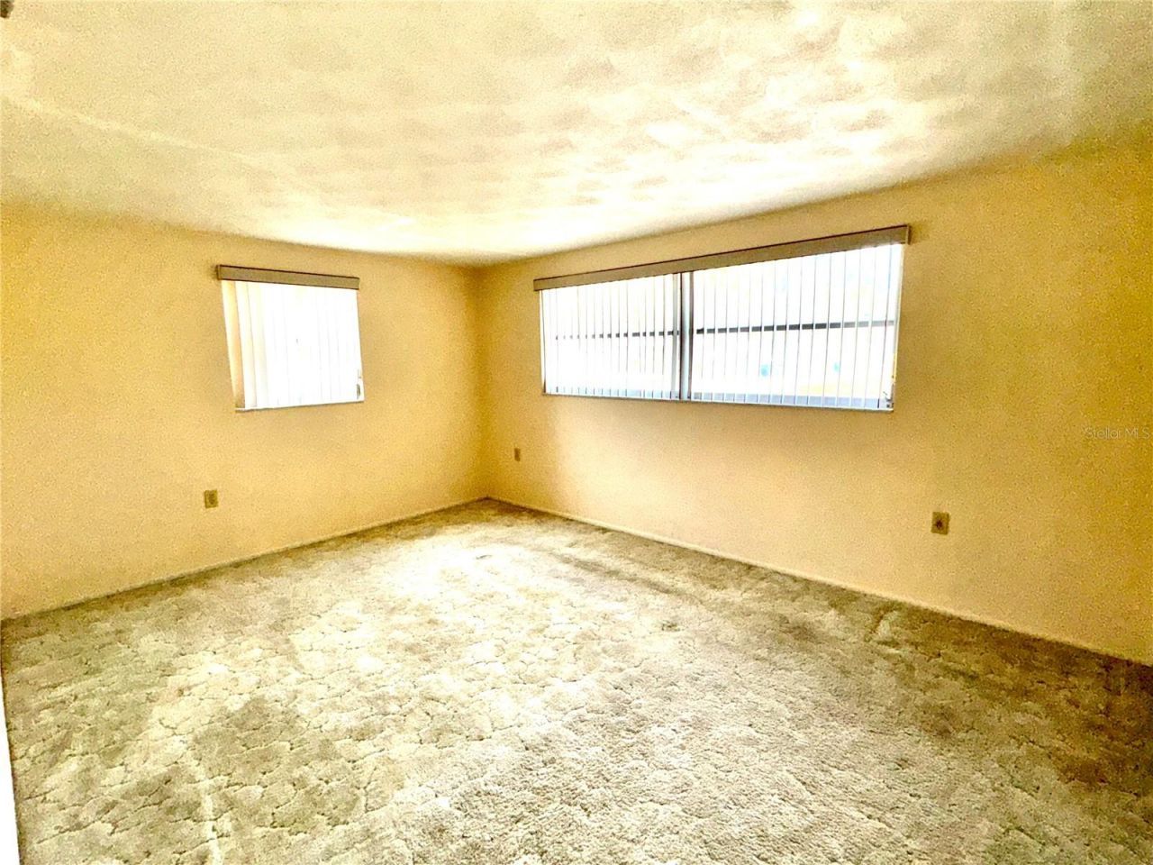 2826 Raven Drive, Holiday, FL 34690 Photo