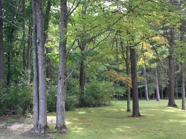 11831 Woody Road, Roscommon, MI 48653