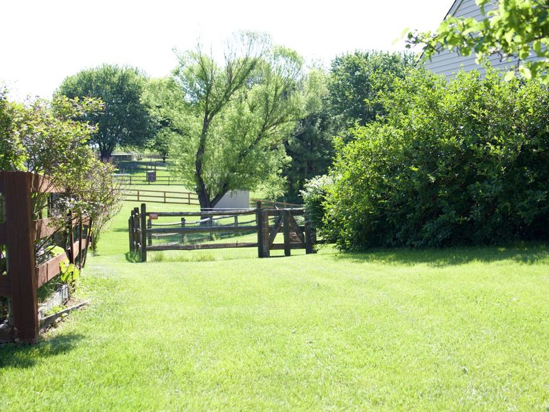 11204 Mckays Court, Walton, KY 41094 Photo 6