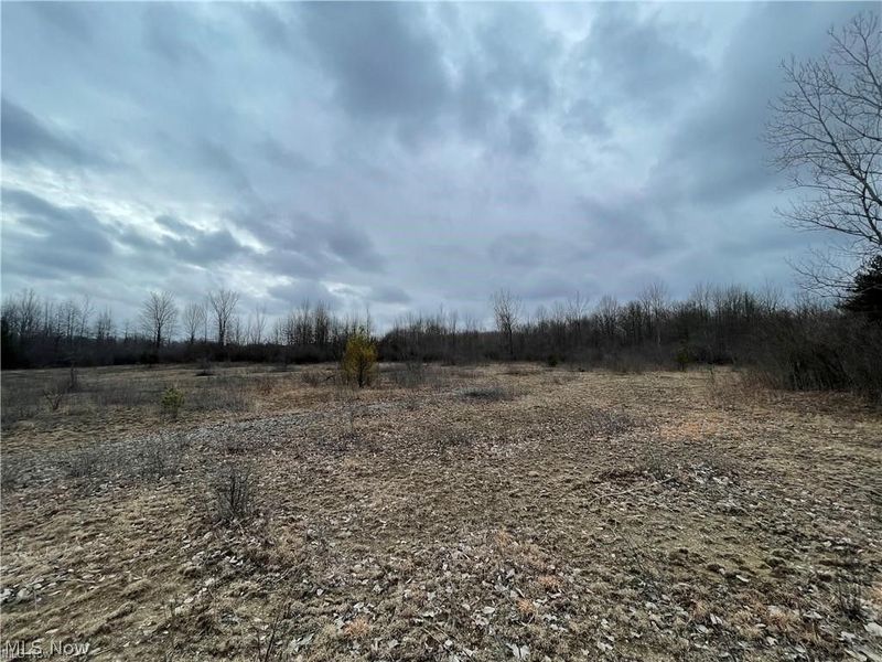 V/L Mayfield Road, Chardon, OH 44024 Photo 2