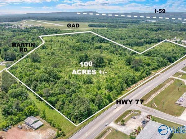 100 Acres +/- Highway 77, Rainbow City, AL 35906