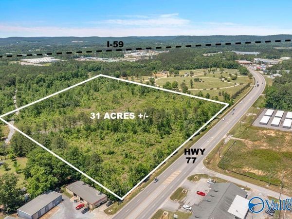 31 ACRES +/- Highway 77, Rainbow City, AL 35906