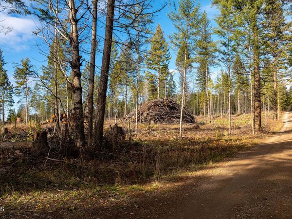 773 Cougar Loop , Clark Fork, ID 83811