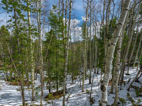 224 Deadwood Road , Cripple Creek, CO 80813