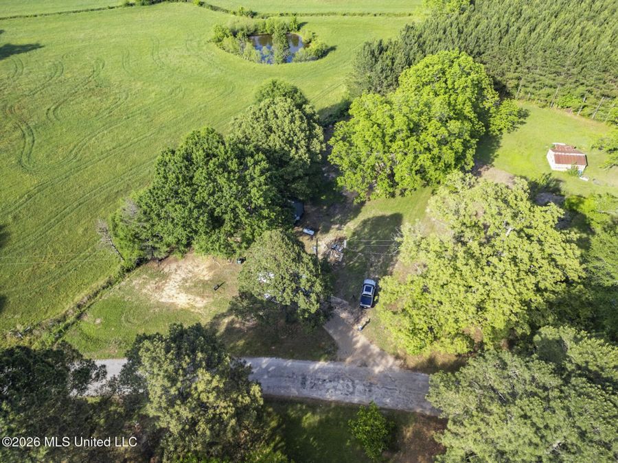 Property Image 34