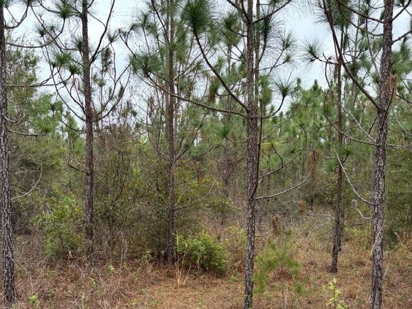 6073 SW 55TH AVE, Jasper, FL 32052