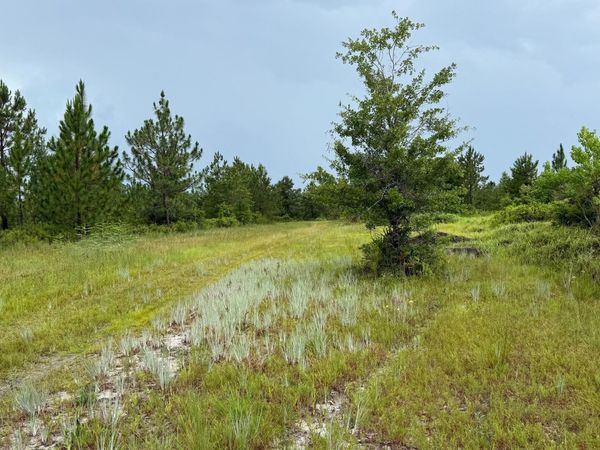 00 Foster Road , Fountain, FL 32438