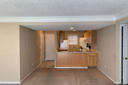 704 Andrea Court photo 4