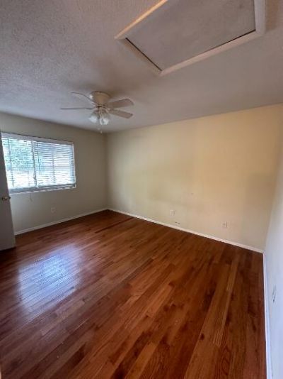 704 Andrea Court Photo 4