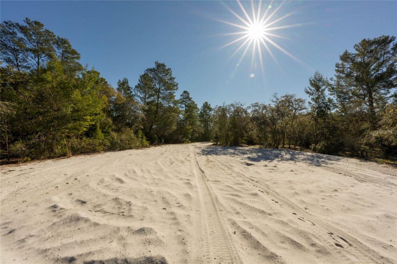 North Road , Pierson, FL 32180 Photo
