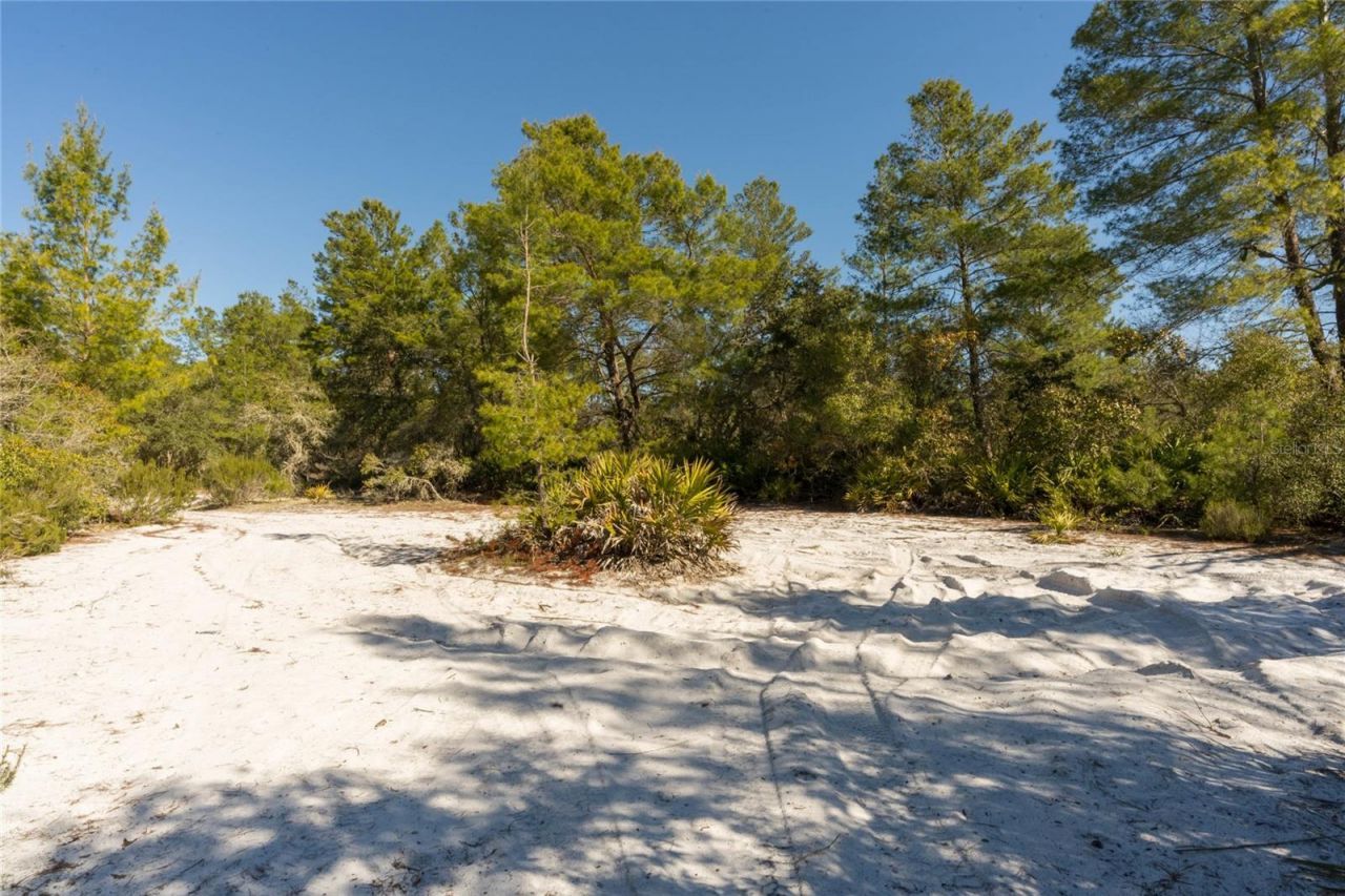 North Road , Pierson, FL 32180 Photo