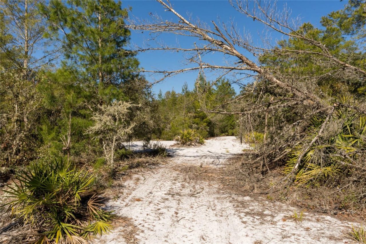 North Road , Pierson, FL 32180 Photo
