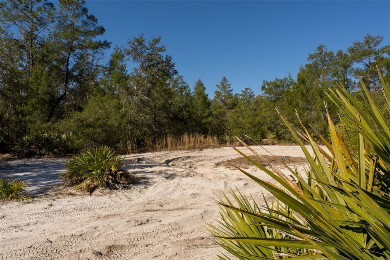 North Road , Pierson, FL 32180 Photo